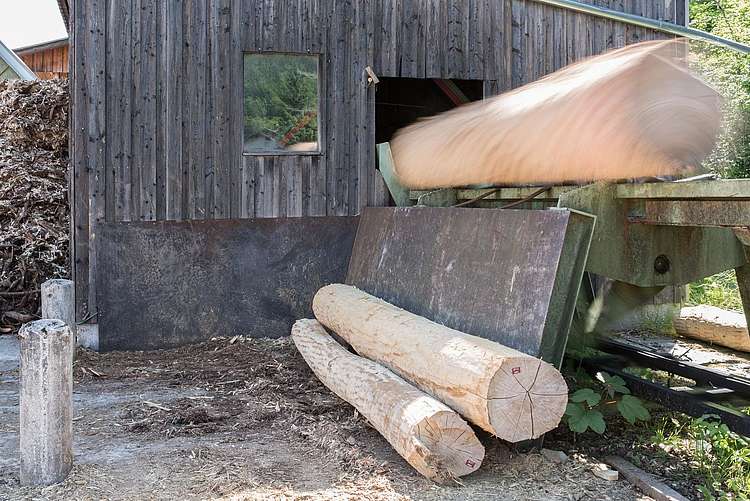 Sägewerk Grünau im Almtal