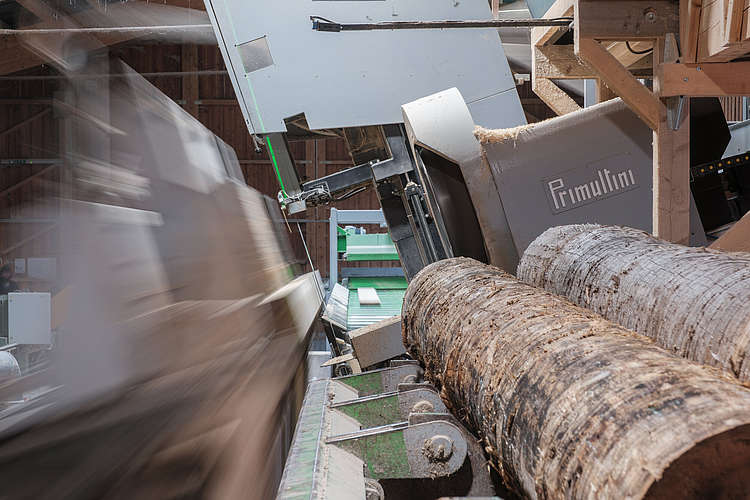 Sägewerk Grünau im Almtal