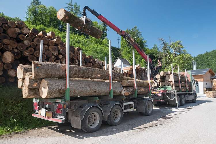 Sägewerk Grünau im Almtal