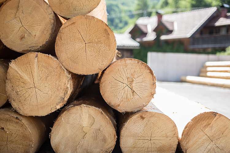 Sägewerk Grünau im Almtal