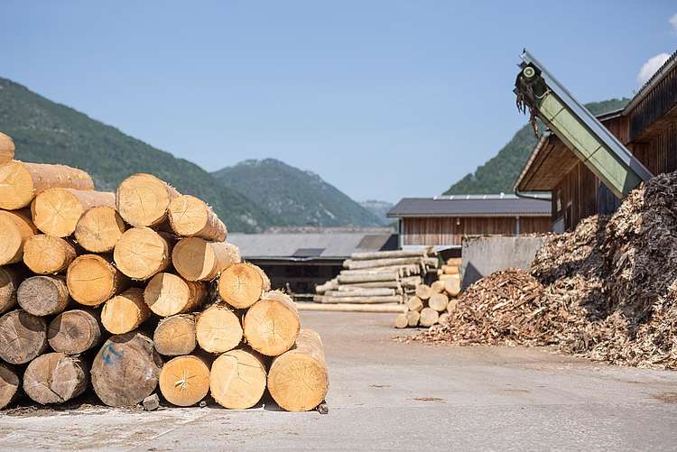 Sägewerk Grünau im Almtal