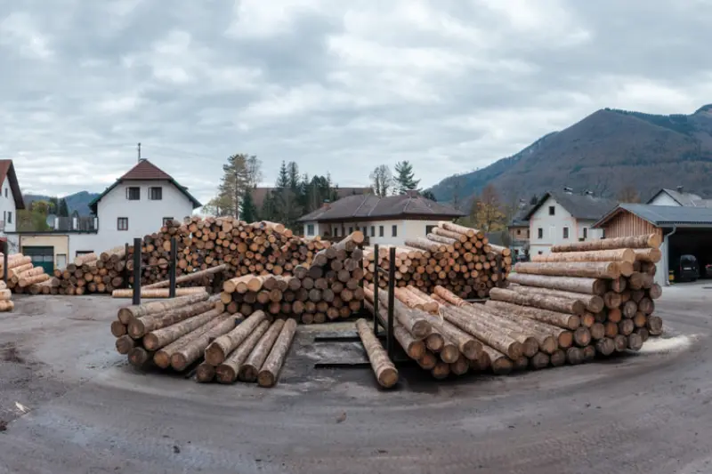 Panorama des Lagerplatzes vom Sägewerk Kirchmühle mit gestapelten Rundholzstämmen vor den Bergen des Almtals