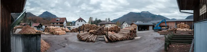 Panorama des Lagerplatzes vom Sägewerk Kirchmühle mit gestapelten Rundholzstämmen vor den Bergen des Almtals