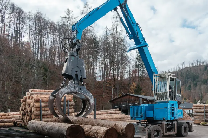 Bagger mit Holzgreifer hebt Rundholzstämme auf dem Lagerplatz