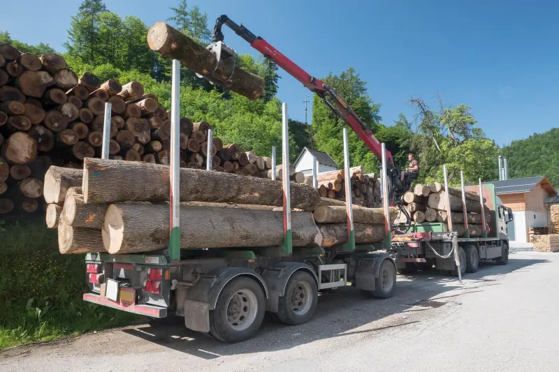 Kran belädt einen Holztransporter mit Rundholz am Lagerplatz des Sägewerks