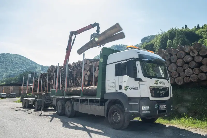 Holztransporter mit Ladekran hebt einen Stamm auf die beladene Ladefläche