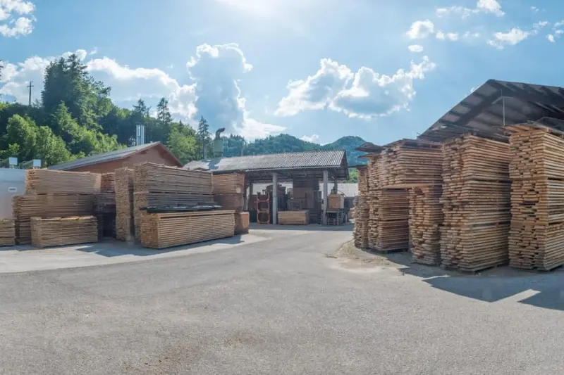 Panorama des Sägewerk-Geländes mit Schnittholzlagern, Hallen und Wald im Almtal